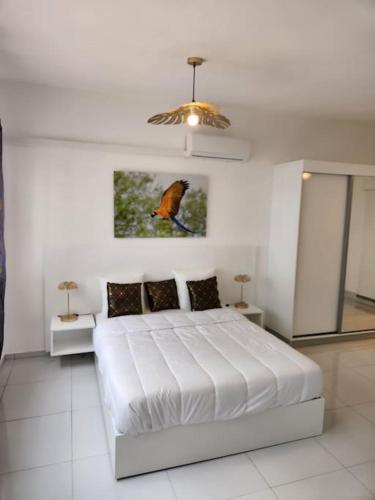 Hello-Guyane, Marina 6, Suite Prestige 5 étoiles, Saint-Laurent du Maroni (photo 2)