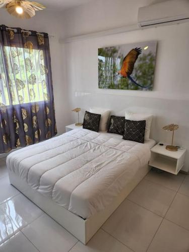Hello-Guyane, Marina 6, Suite Prestige 5 étoiles, Saint-Laurent du Maroni (photo 6)