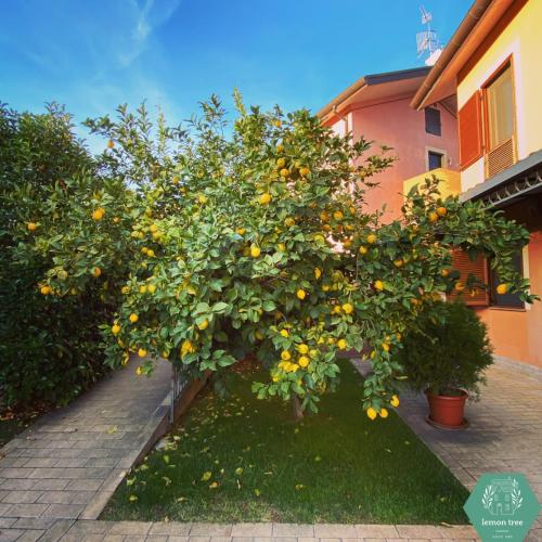 Lemon tree suite al golf chambre d'hôte Miglianico