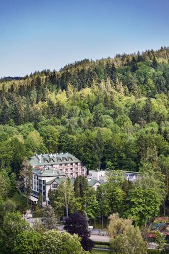 Hotel Prezydent Krynica Zdrój