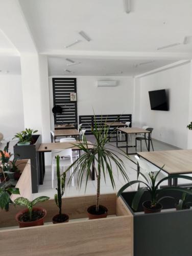 Спільний лаунж/ТБ зона, PARK-hotel in Cahul