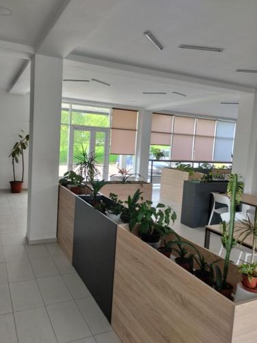 кухня, PARK-hotel in Cahul