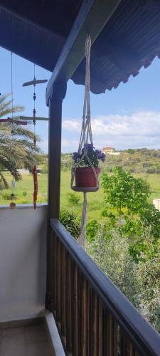 Apkārtne, APARTMENT TSAIRA in Ammouliani
