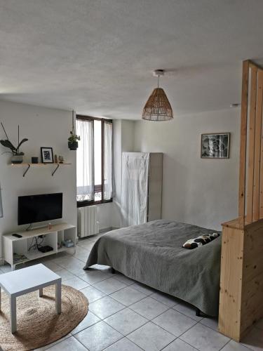 studio cosy plein coeur de ville 4
