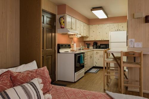 Studio Purgatory Townhome 108 in Durango Mountain Resort, USA