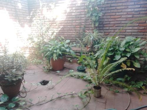 Hostel Las Tejas in Concepcion Del Uruguay