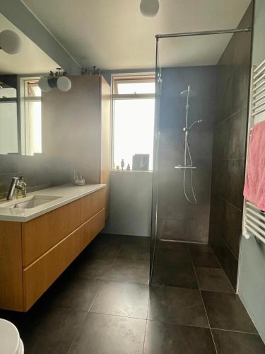 Modern and stylish house in heart of Reykjavik in Seltjarnarnes