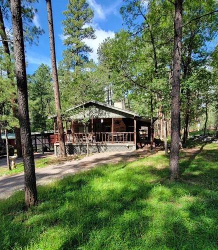 B&B Ruidoso - Li'l Bear - Bed and Breakfast Ruidoso