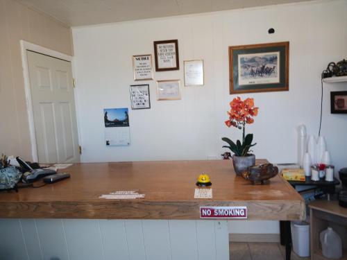 White Pine Motel - image 2