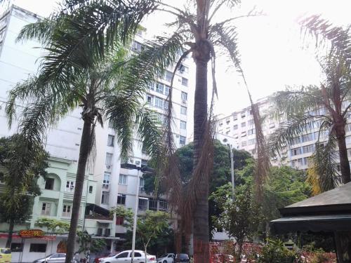 Tesis özellikleri, Studio Copacabana in Rio De Janeiro