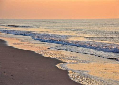 -Atlantis (7 Bdrm / 7.5 Bath Sleeps 22) - image 22