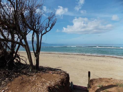 Preveza - The house by the sea, Preveza (fotografie 8)