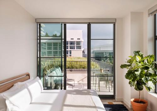 453361731 ROOST Tampa