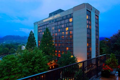 Renaissance Asheville Downtown Hotel