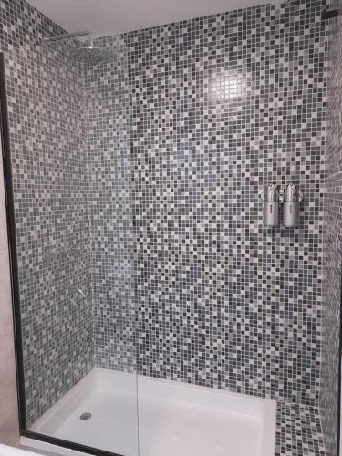 One-Bedroom Apartment image 9