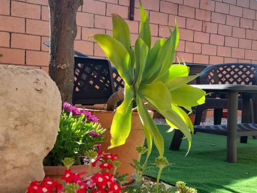  Su Fassoi Cabras in Càbras