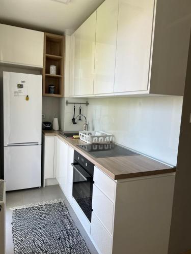 APARTMAN IRIS, Banja Luka (fotografie 8)