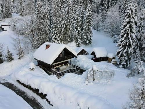 Viesnīcas āriene, Dwarfs cabin overlooking Julian Alps near Bled in Planina pod Golico