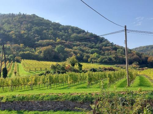 Ferienhaus in der Wachau, Rossatzbach (foto 7)