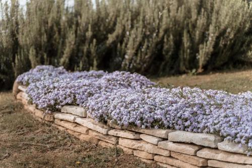 Agriturismo San Francesco