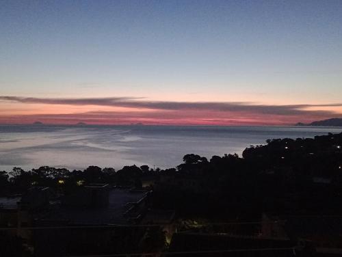 景觀, La Cycas in 特拉比亞