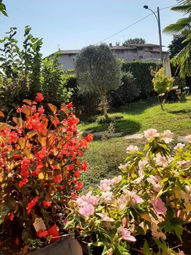 Villa Brumar