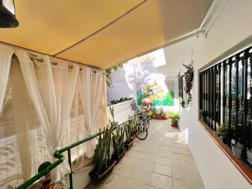 Tenerife Experience Hostel 5