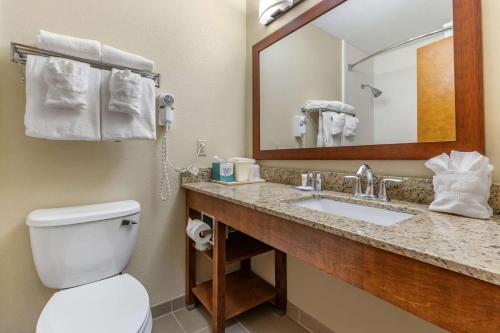 Comfort Inn & Suites Clemson - University Area 