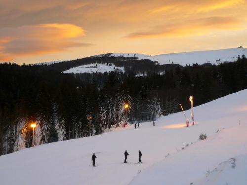 Ma Montagne Chic 2 in La Bresse