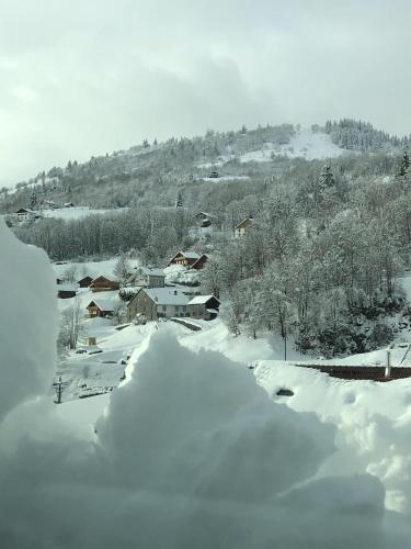 Ma Montagne Chic 2 in La Bresse