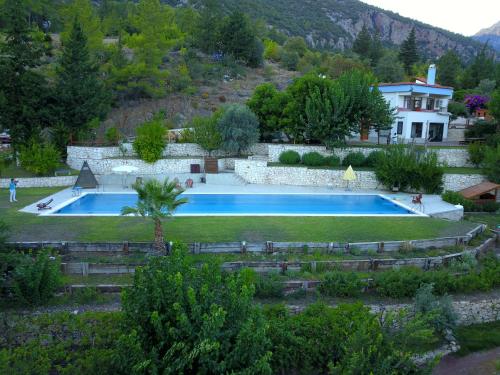 Trinitys Forest Bungalows