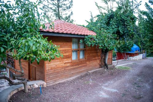 Trinitys Forest Bungalows