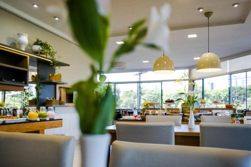 Vitoria Regia Hotel Bauru - 식음료(F&B)