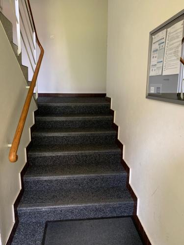 Ferienwohnung in Bern 5