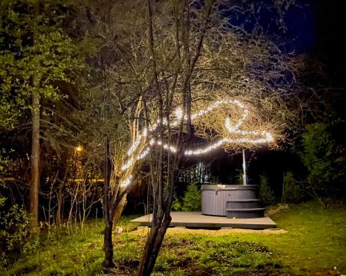 Round house, Sigulda (fotografie 6)