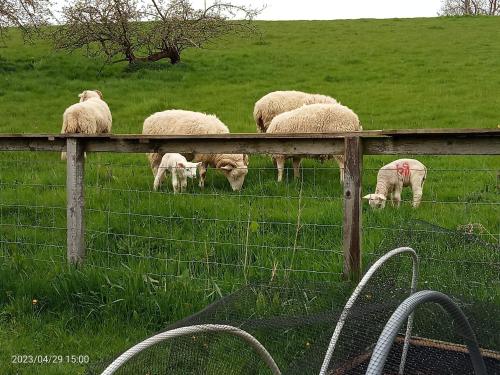 Rosegarth Bed and Breakfast