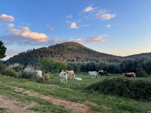 CASA ADELE 1 per una vacanza in semplicità e relax in prossimità di Sperlonga