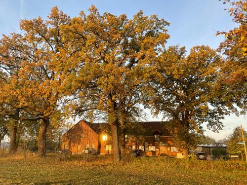 外部景觀, 艾且霍夫酒店 (Eichenhof Hotel Garni) in 大克里斯
