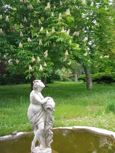 La Canette de Phil - Chambre d'hôtes, Indépendante - Vue sur piscine