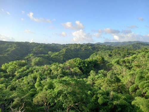 ระเบียง/ชานเรือน, Parakeet Hideaway in เลโกโต