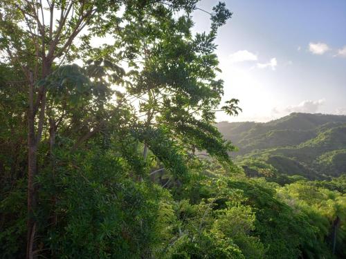 ระเบียง/ชานเรือน, Parakeet Hideaway in เลโกโต