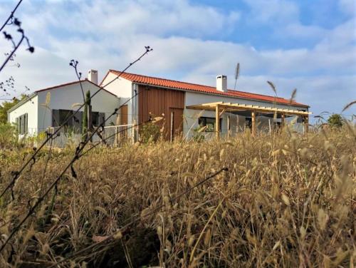 Two villas in lush countryside near Motovun