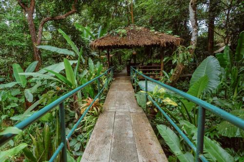 Khao Sok Riverside Cottages