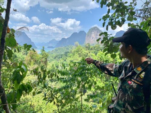 Khao Sok Riverside Cottages