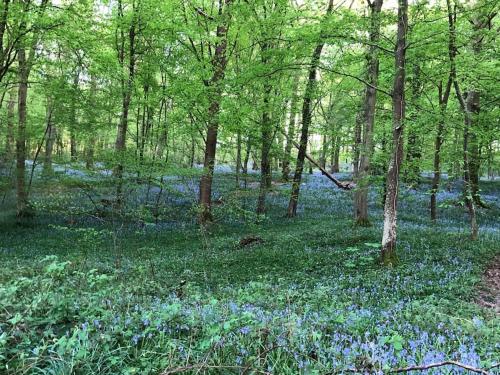 Elen's home at the Bucorde in مونفيل