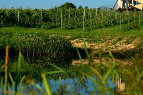 Agroturystyka w Winnicy Kamionka - Hotel - Zabłudów