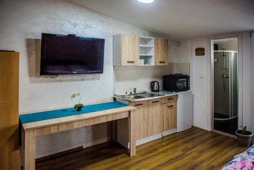 Apartments Joja - image 13