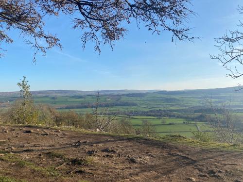 The Lemon Grove, Leyburn