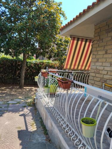  Casa vacanze GATTO MATTO due in Manziana