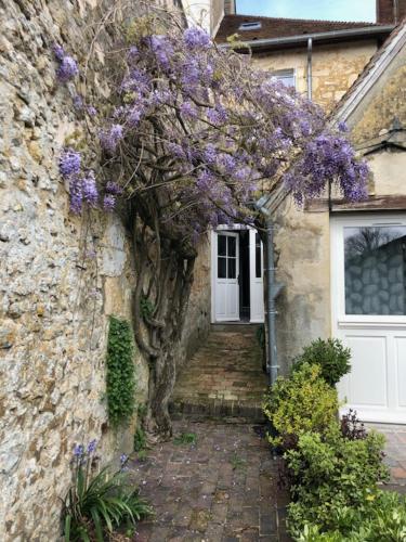 NATIHOUSE - Maison composée de 2 appartements centre historique avec jardin IDEAL FAMILLE OU ENTRE AMIS - Location saisonnière - Bellême